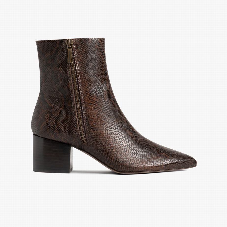 Botki Thursday Boots Luna Damskie Czekolada Wąż | QXP5726GM