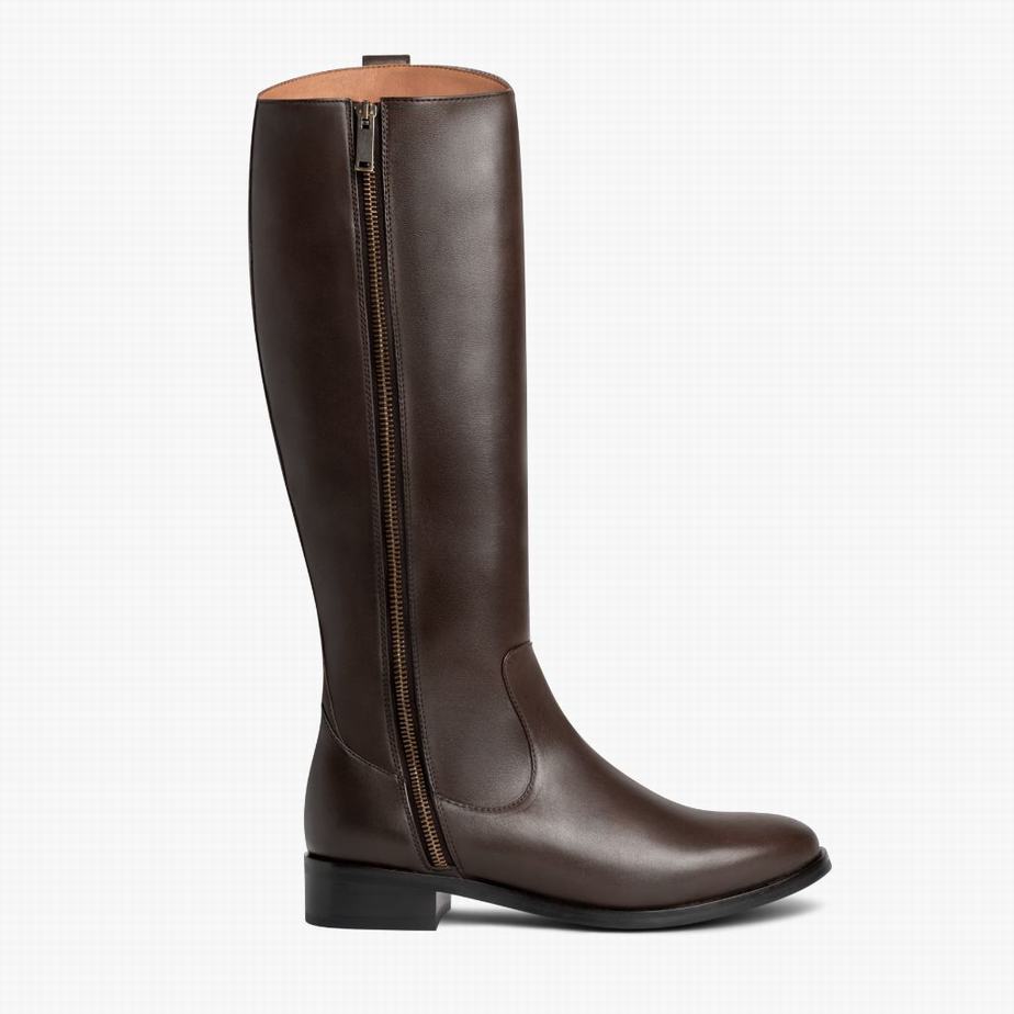 Kozaki Oficerki Thursday Boots Crown Damskie Ciemny Brązowe | XPR5491NZ