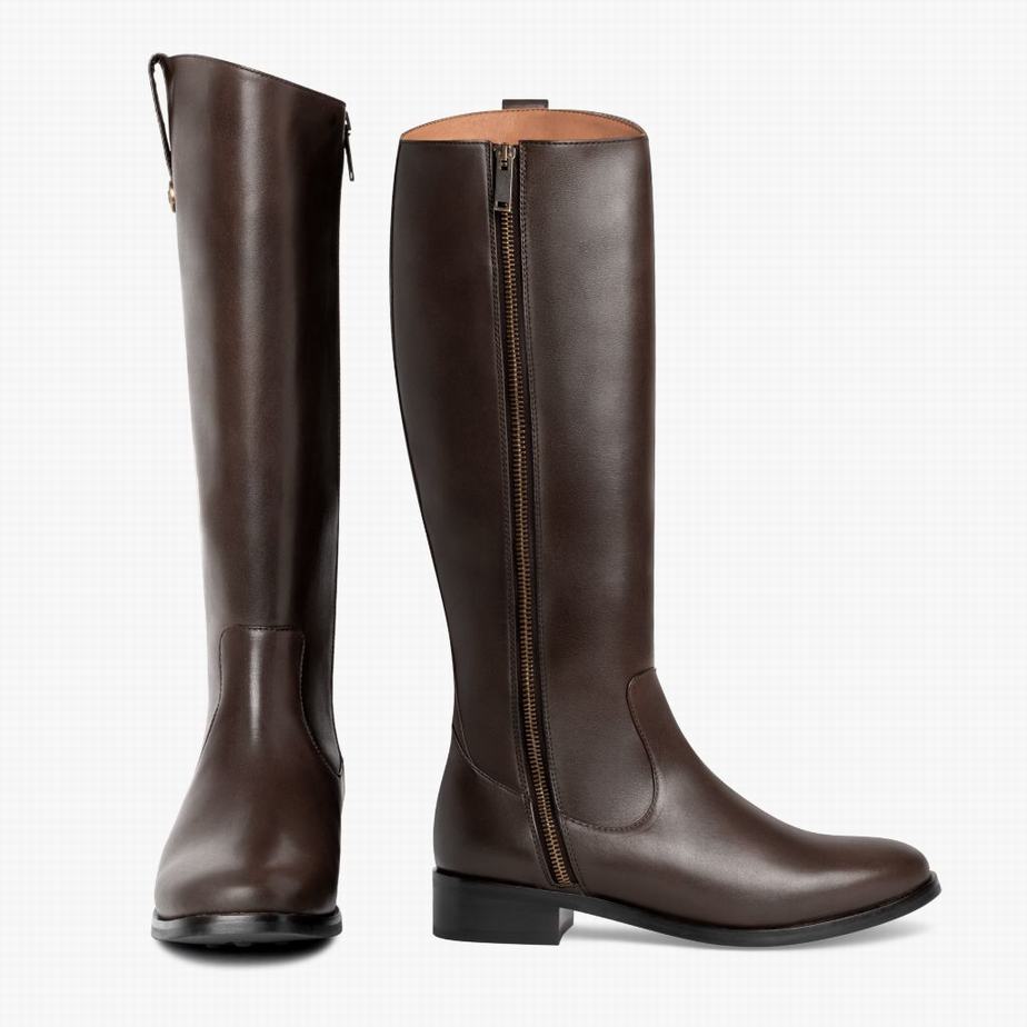 Kozaki Oficerki Thursday Boots Crown Damskie Ciemny Brązowe | XPR5491NZ