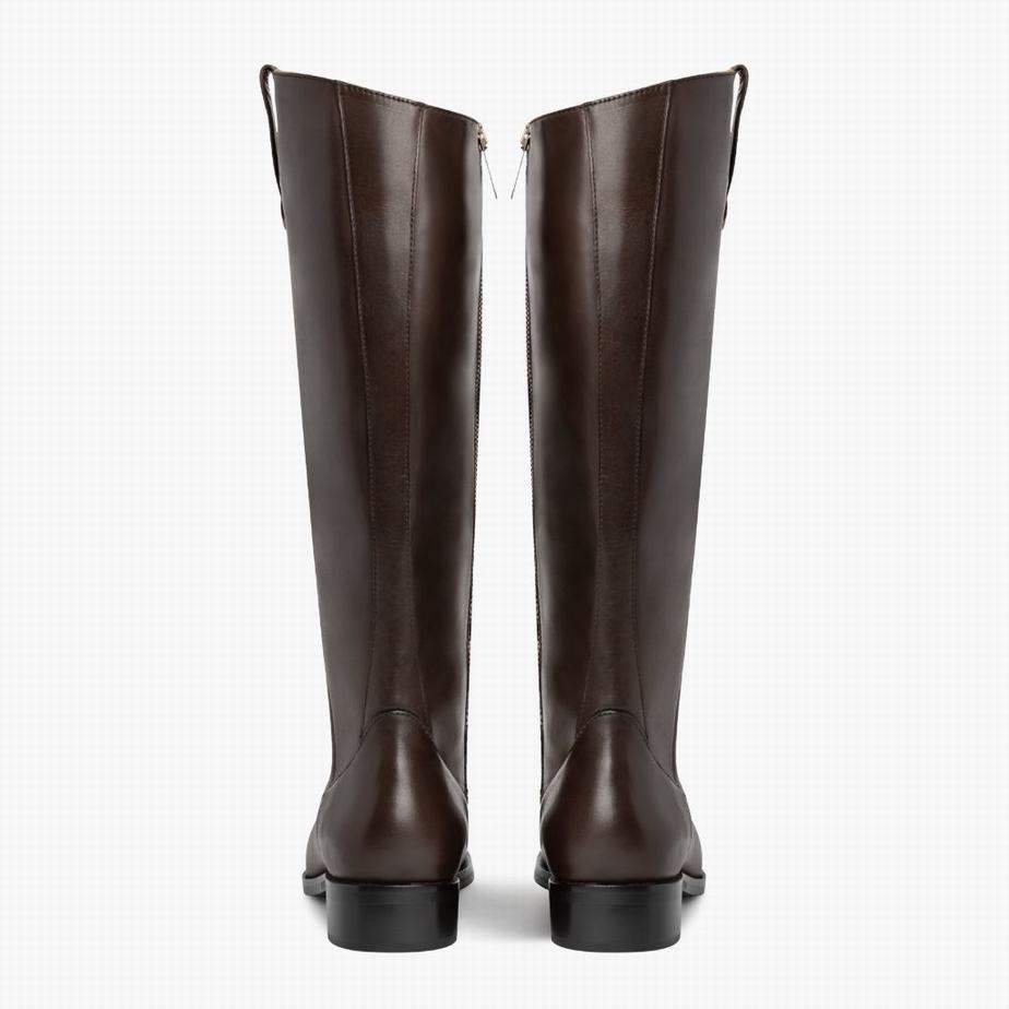 Kozaki Oficerki Thursday Boots Crown Damskie Ciemny Brązowe | XPR5491NZ