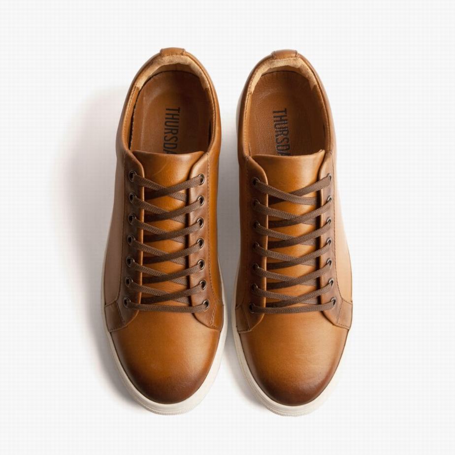 Trampki Niskie Thursday Boots Premier Damskie Toffee | HXX3420HQ
