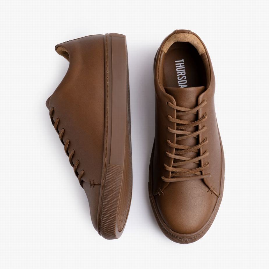 Trampki Niskie Thursday Boots Premier Męskie Ciemny Brązowe | JIO2947LD