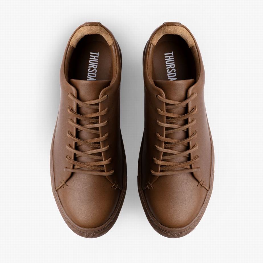 Trampki Niskie Thursday Boots Premier Męskie Ciemny Brązowe | JIO2947LD